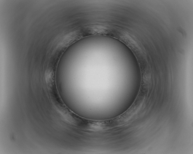 X0000115680079200911121255