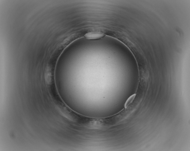 X0000115680080200911121255