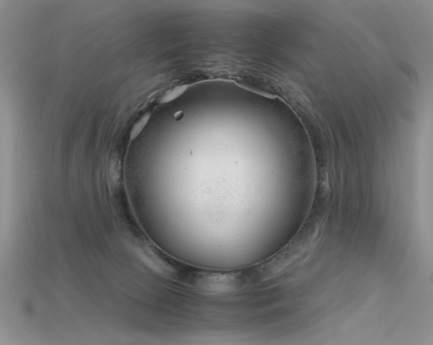 X0000115680081200911121255