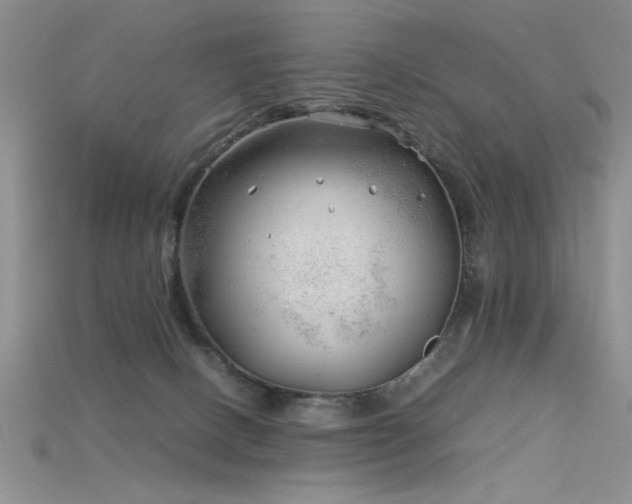 X0000115680082200911121255