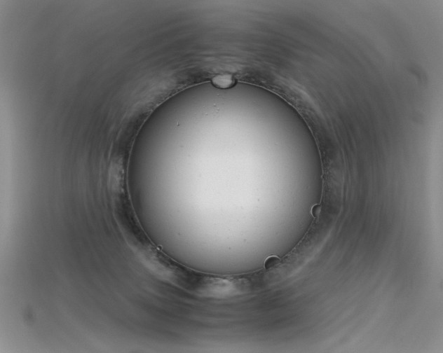 X0000115680083200911121255