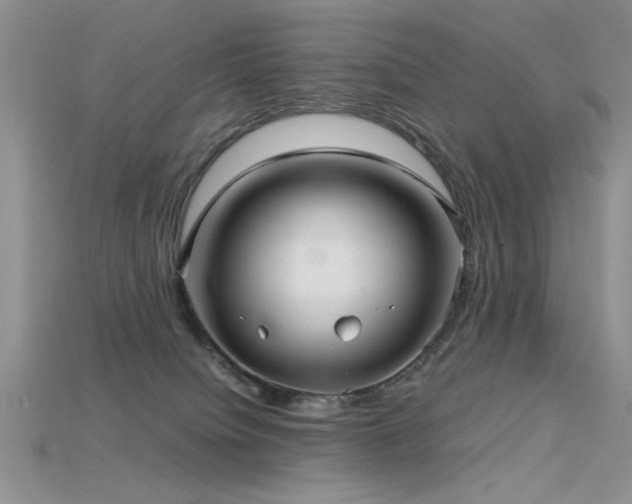 X0000115680084200911121255