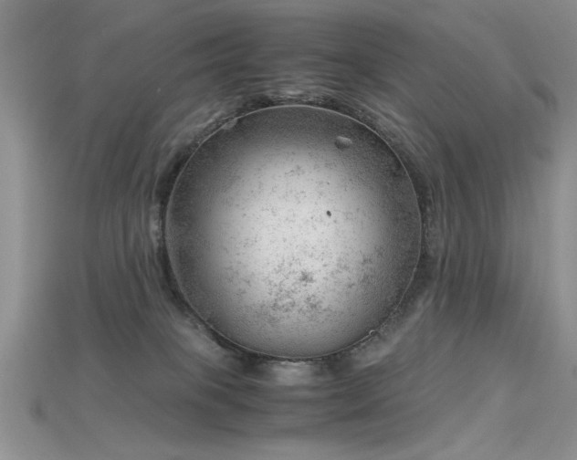 X0000115680085200911121255