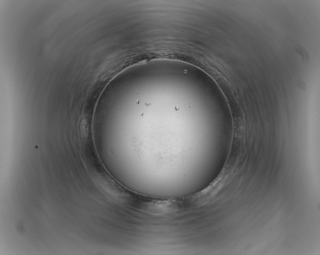 X0000115680086200911121255