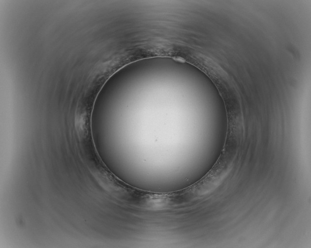 X0000115680088200911121255