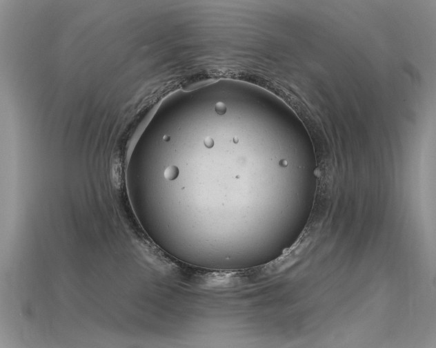 X0000115680090200911121255