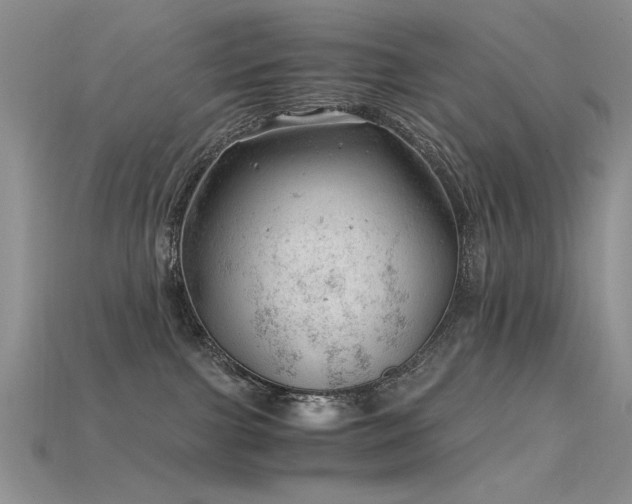 X0000115680091200911121255