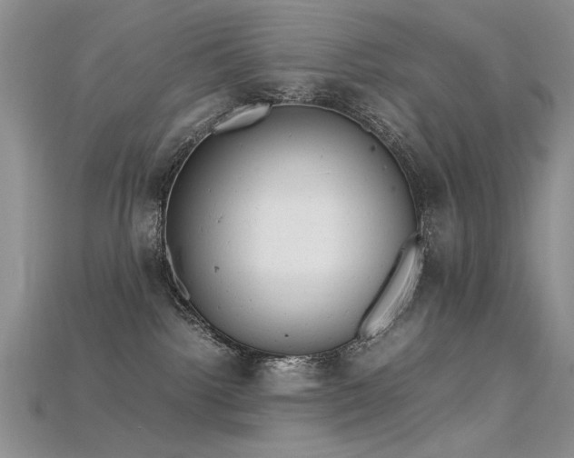 X0000115680092200911121255