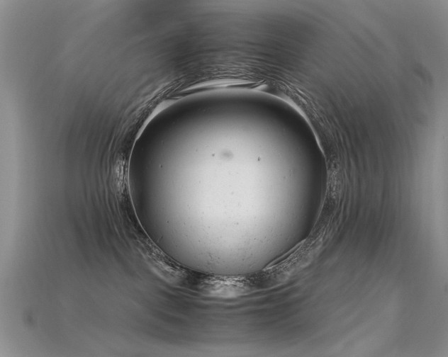 X0000115680093200911121255