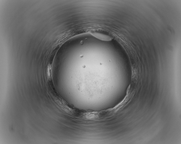 X0000115680094200911121255