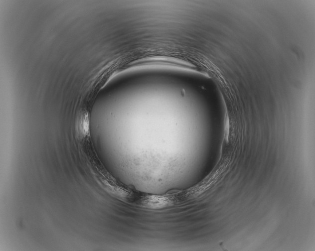 X0000115680095200911121255