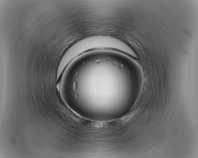 X0000115680096200911121255