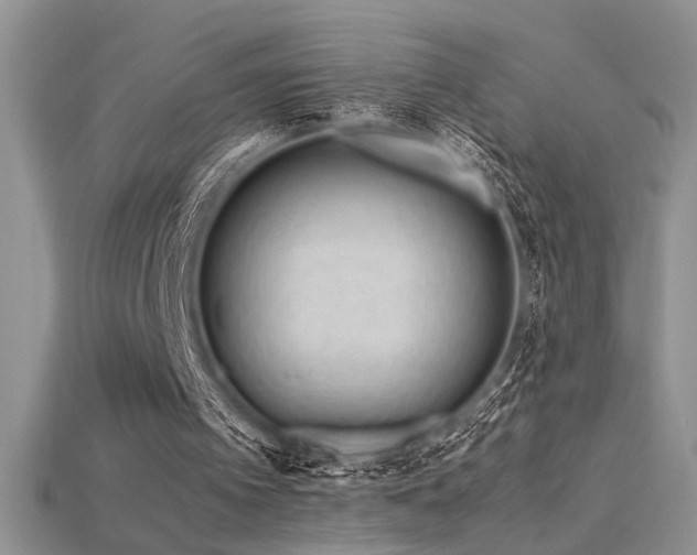 X0000115680097200911121255