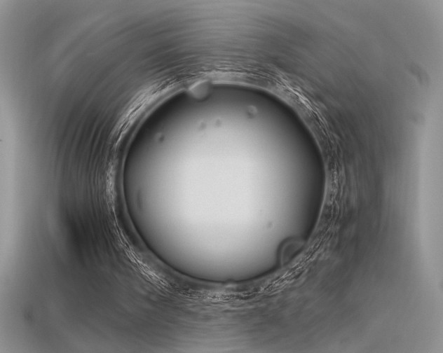 X0000115680098200911121255