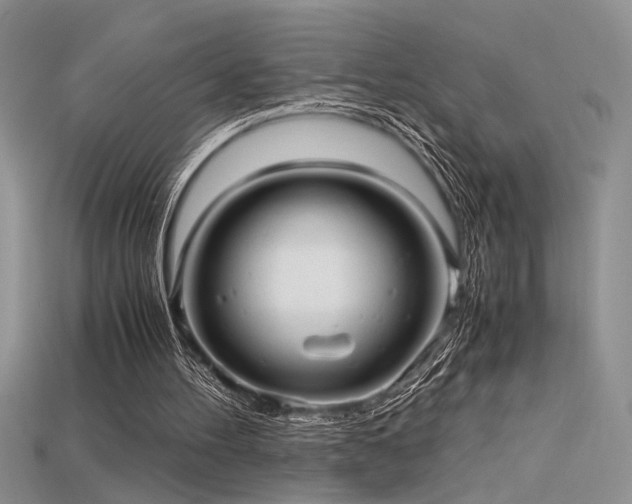 X0000115680100200911121255