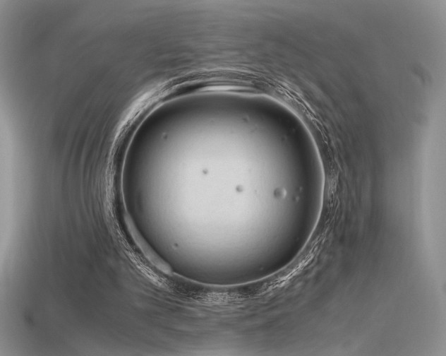 X0000115680101200911121255