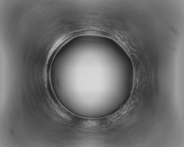 X0000115680102200911121255