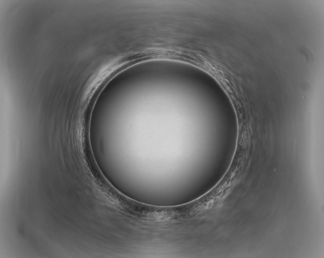 X0000115680103200911121255