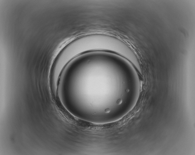 X0000115680104200911121255