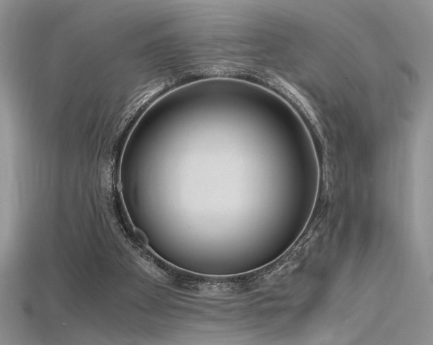 X0000115680105200911121255