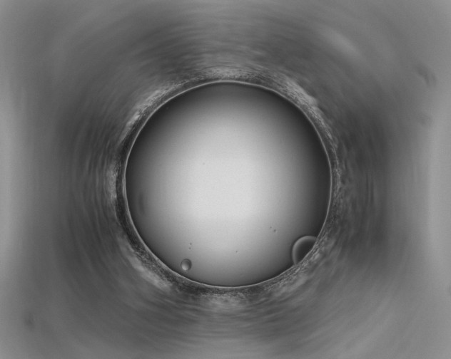 X0000115680106200911121255