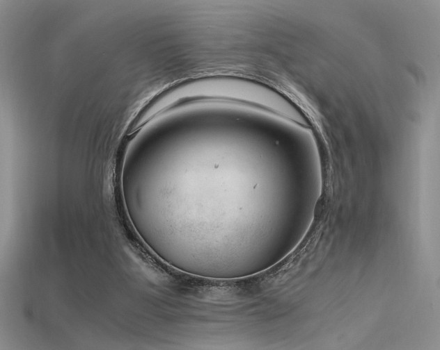 X0000115680107200911121255