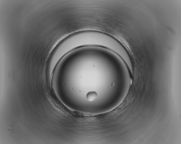 X0000115680108200911121255