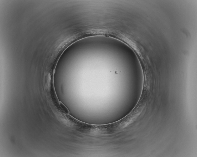 X0000115680109200911121255