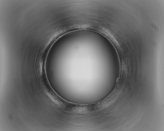 X0000115680110200911121255