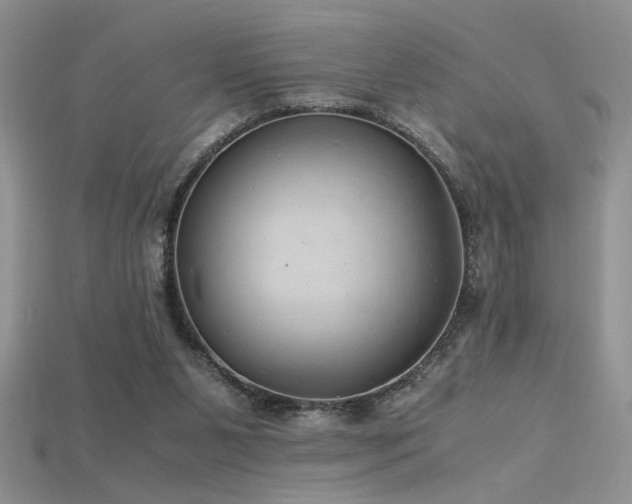 X0000115680111200911121255