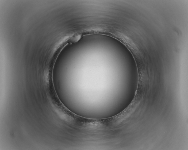 X0000115680112200911121255