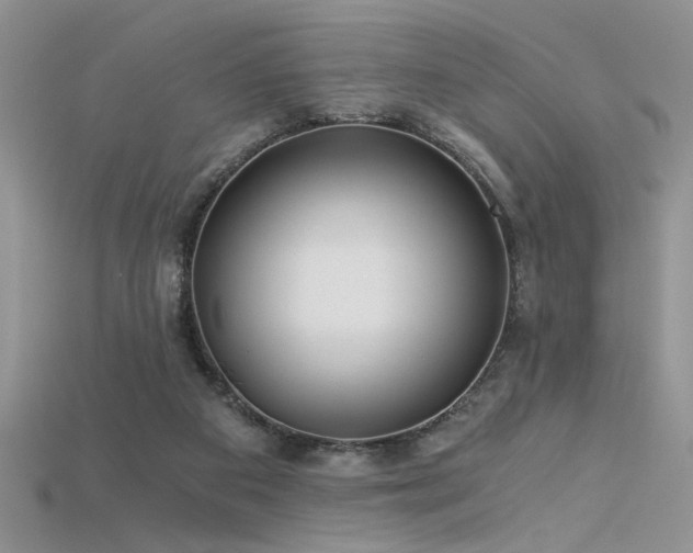 X0000115680113200911121255