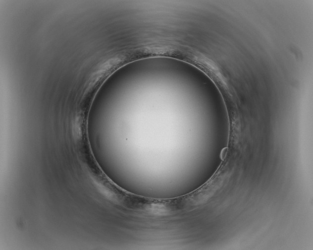 X0000115680114200911121255