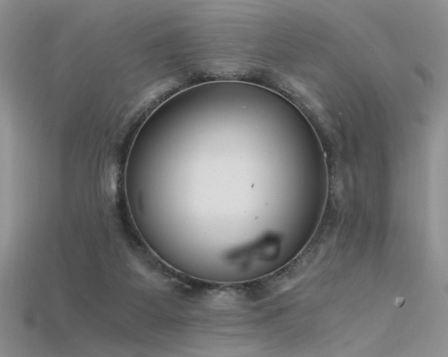 X0000115680115200911121255