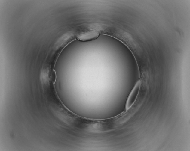 X0000115680116200911121255