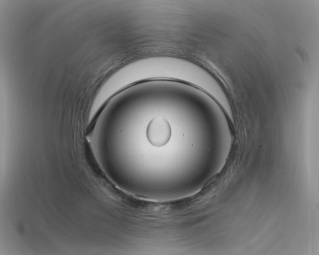 X0000115680117200911121255