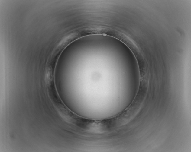 X0000115680119200911121255