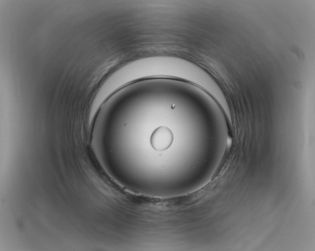 X0000115680120200911121255