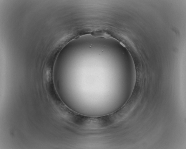 X0000115680123200911121254