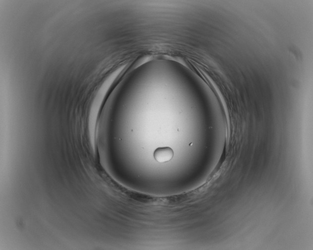 X0000115680124200911121254