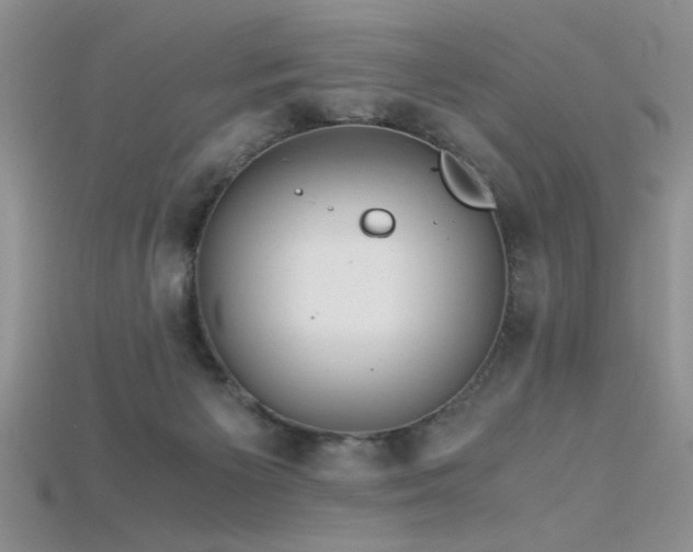 X0000115680125200911121254