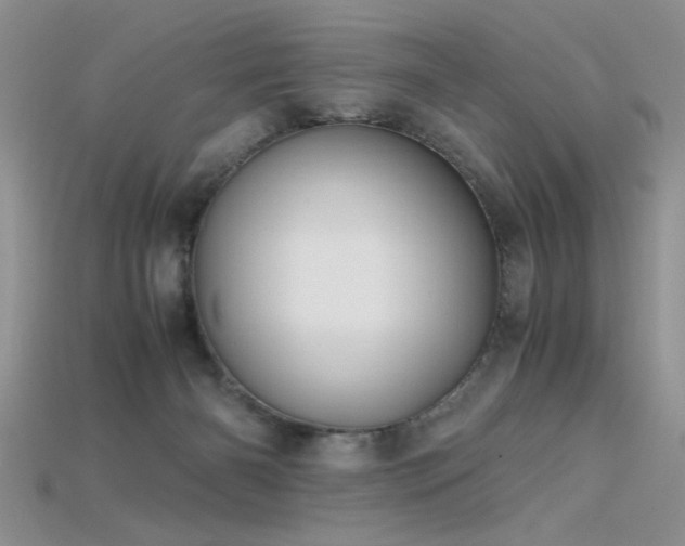 X0000115680126200911121254