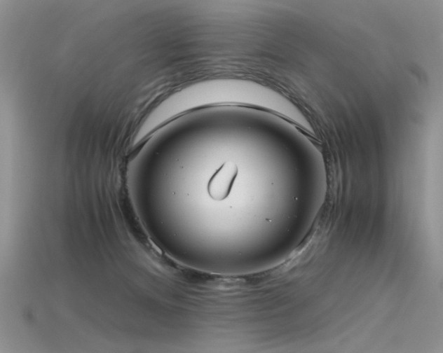 X0000115680128200911121254