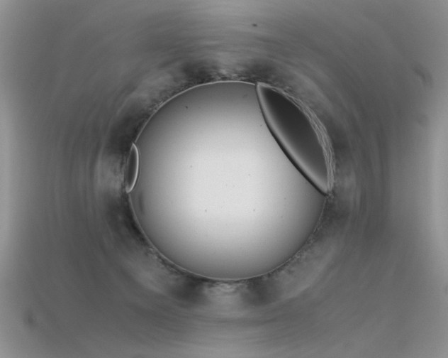 X0000115680129200911121254