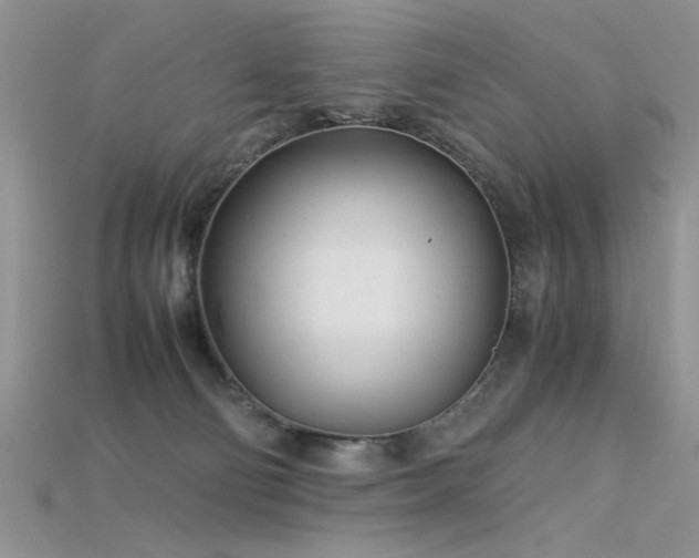 X0000115680130200911121254