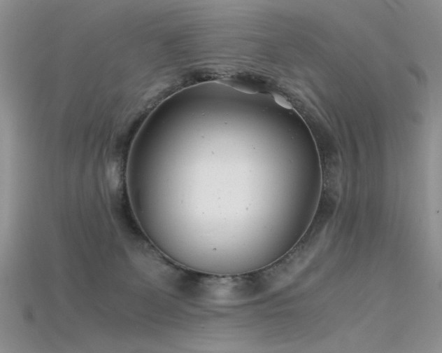 X0000115680131200911121254