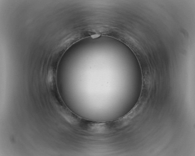 X0000115680132200911121254