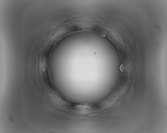 X0000115680133200911121254