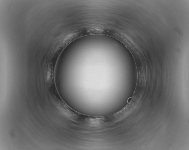 X0000115680134200911121254