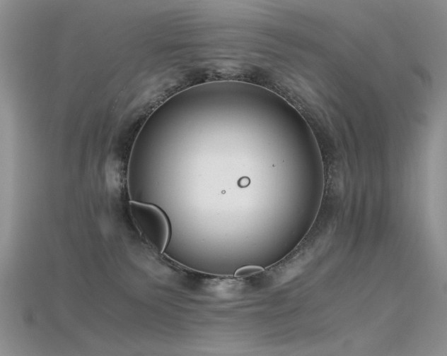 X0000115680135200911121254